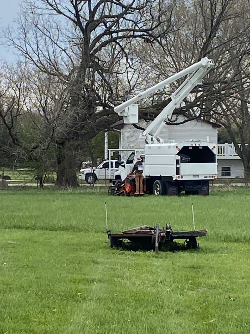 Maxon's Tree Service