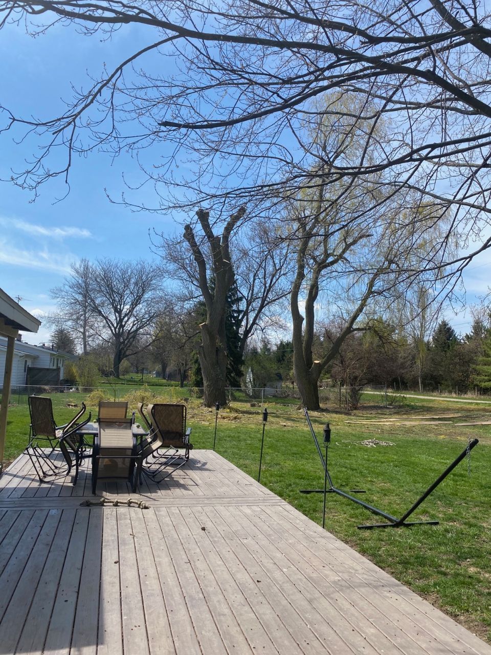 Maxon's Tree Service