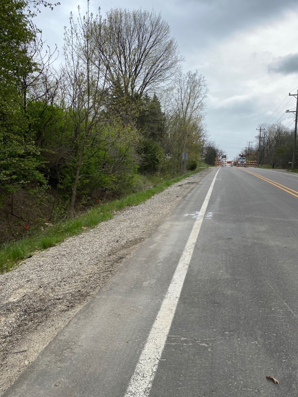 Maxon's Tree Service