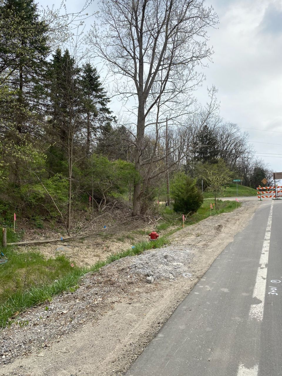 Maxon's Tree Service