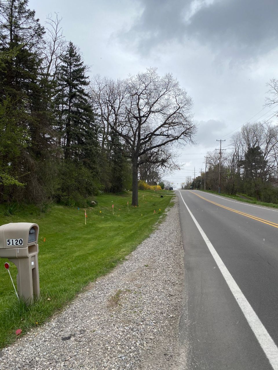 Maxon's Tree Service