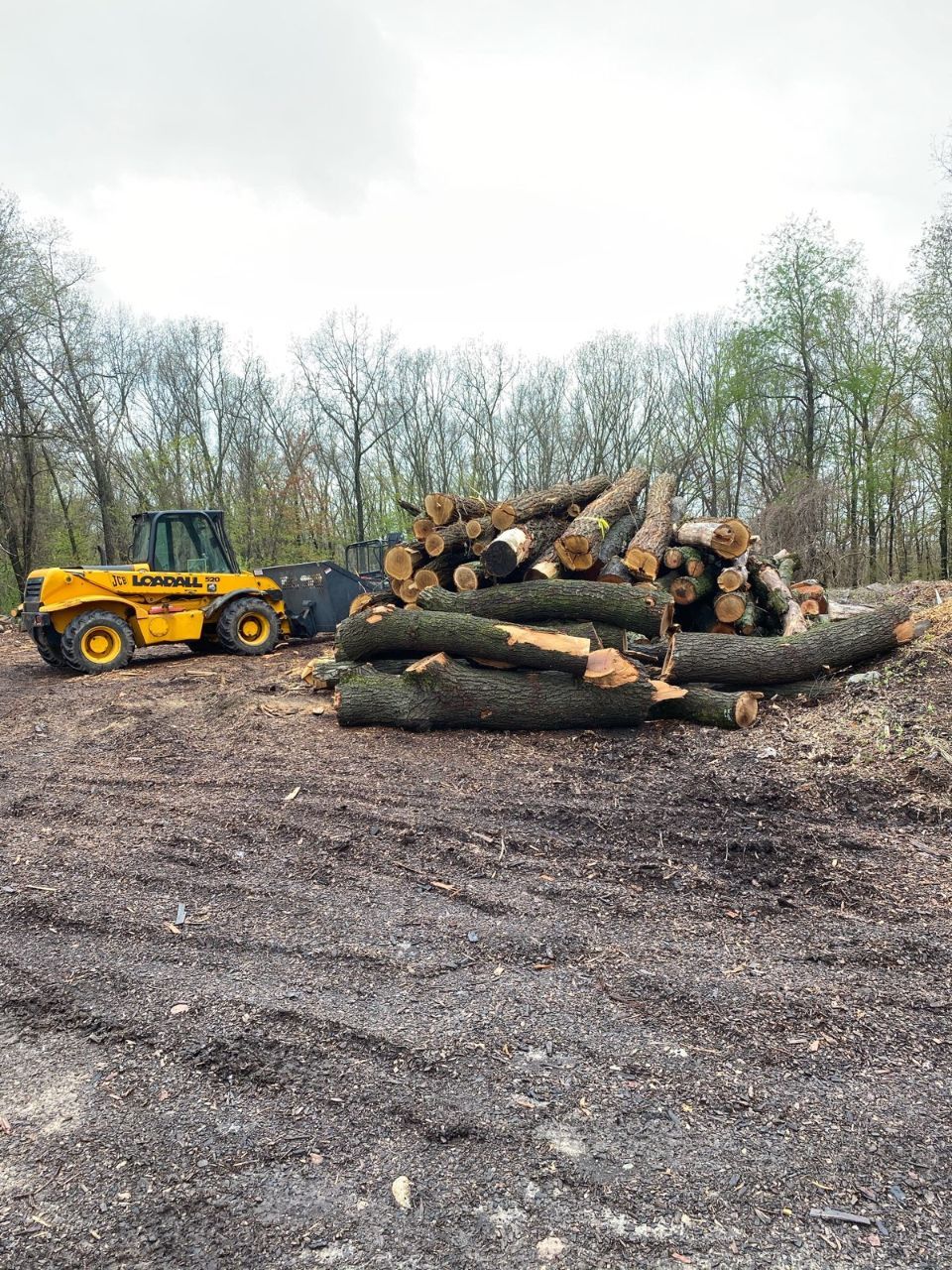 Maxon's Tree Service