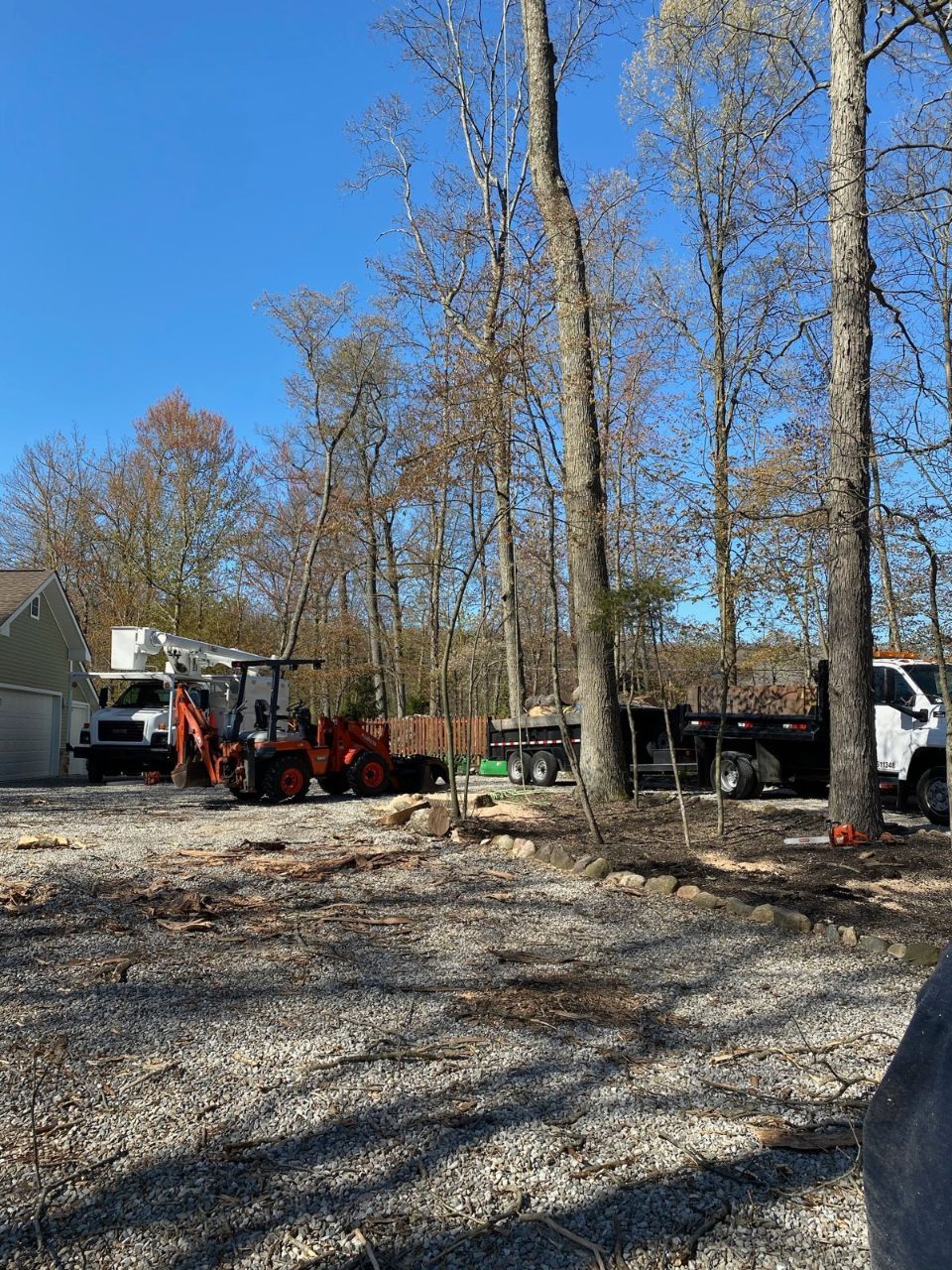 Maxon's Tree Service