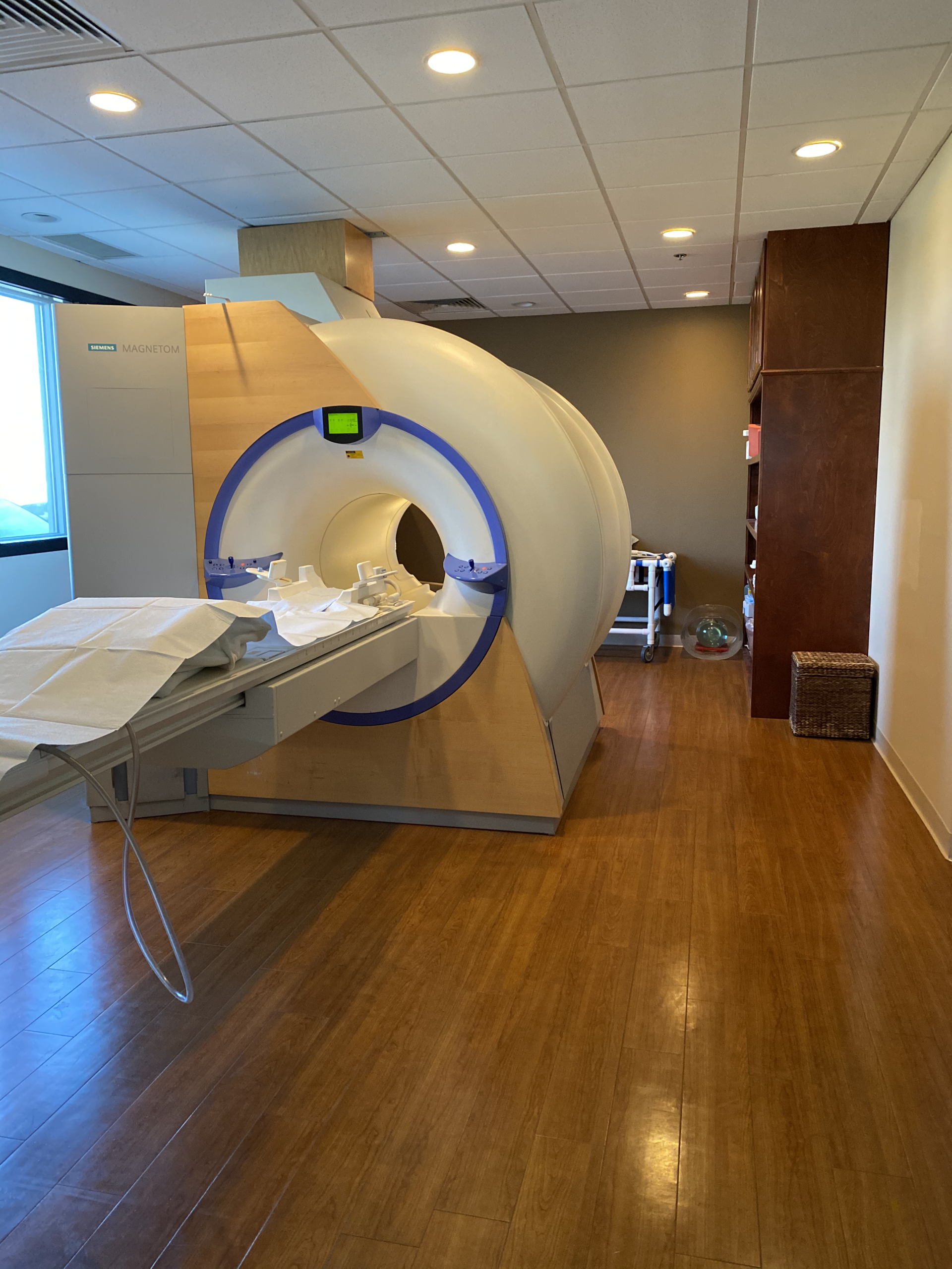 Siemens Magnaton MRI Imaging
