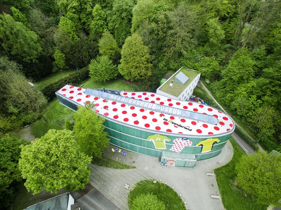 Fassadenwerbung Neanderthal Museum