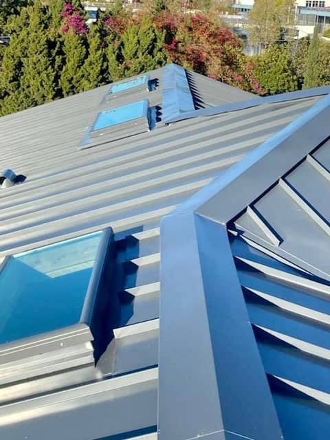 Grey metal roof with skylights and trim against a backdrop of trees.