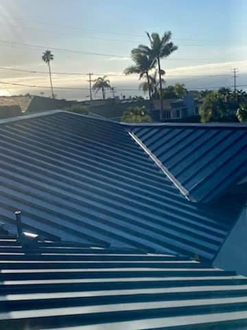 Blue metal roof with palm trees and a bright sky in the background.