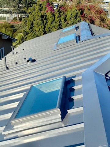 Metal roof with three skylights, viewed from above, with trees in the background.