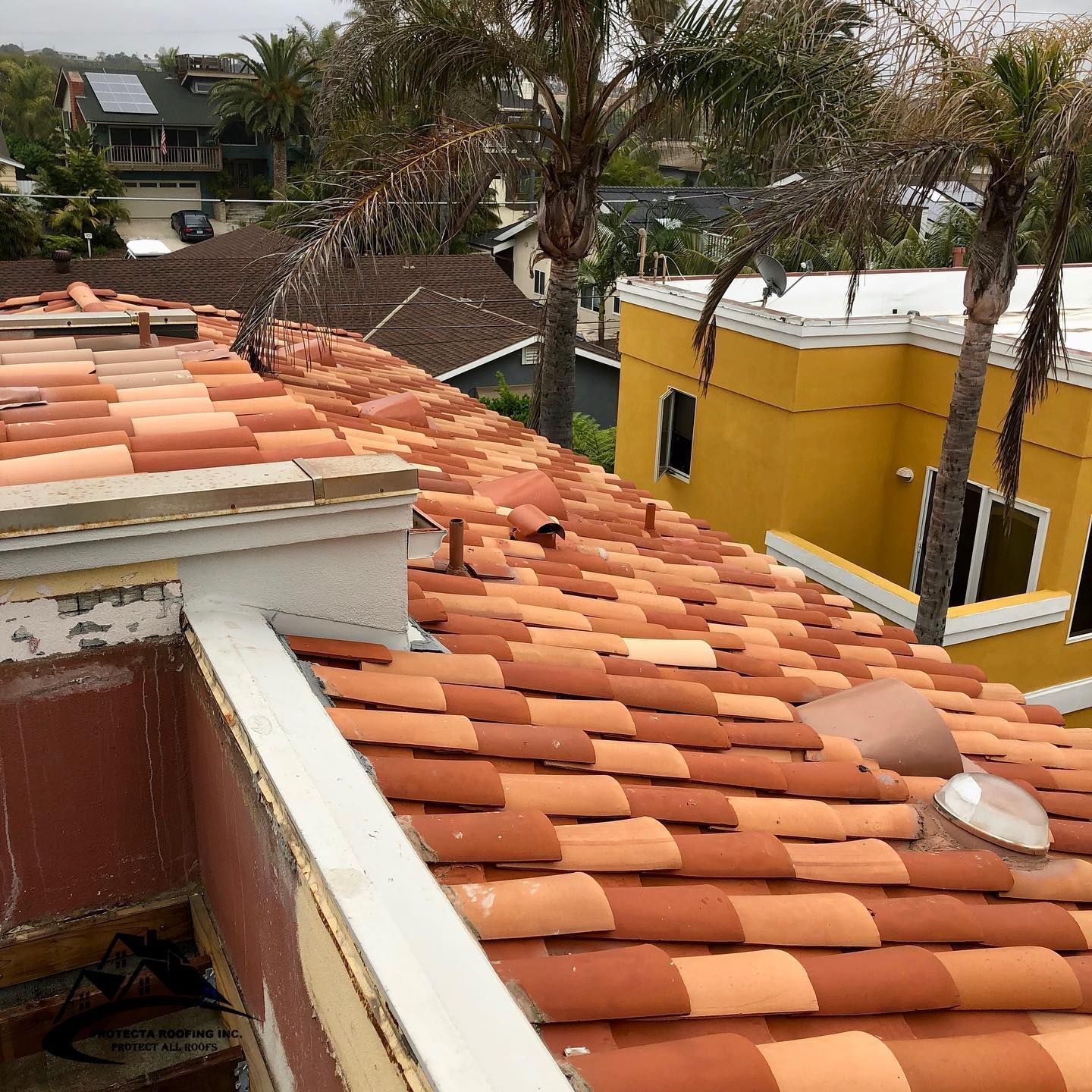 Terracotta tile roof with orange and brown colors, overlooking residential buildings and palm trees.