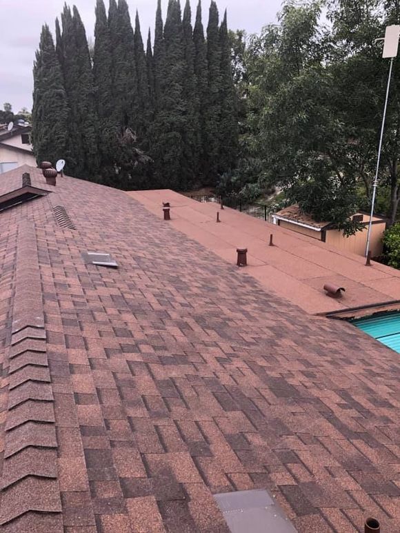 Brown shingle roof with vents, tall trees in the background, a swimming pool visible to the right.