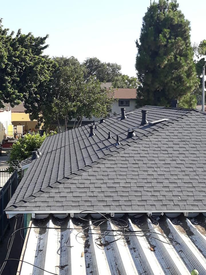 Dark asphalt shingle roof with vents, overlooking a light-colored corrugated metal roof. Trees and a house in the background.