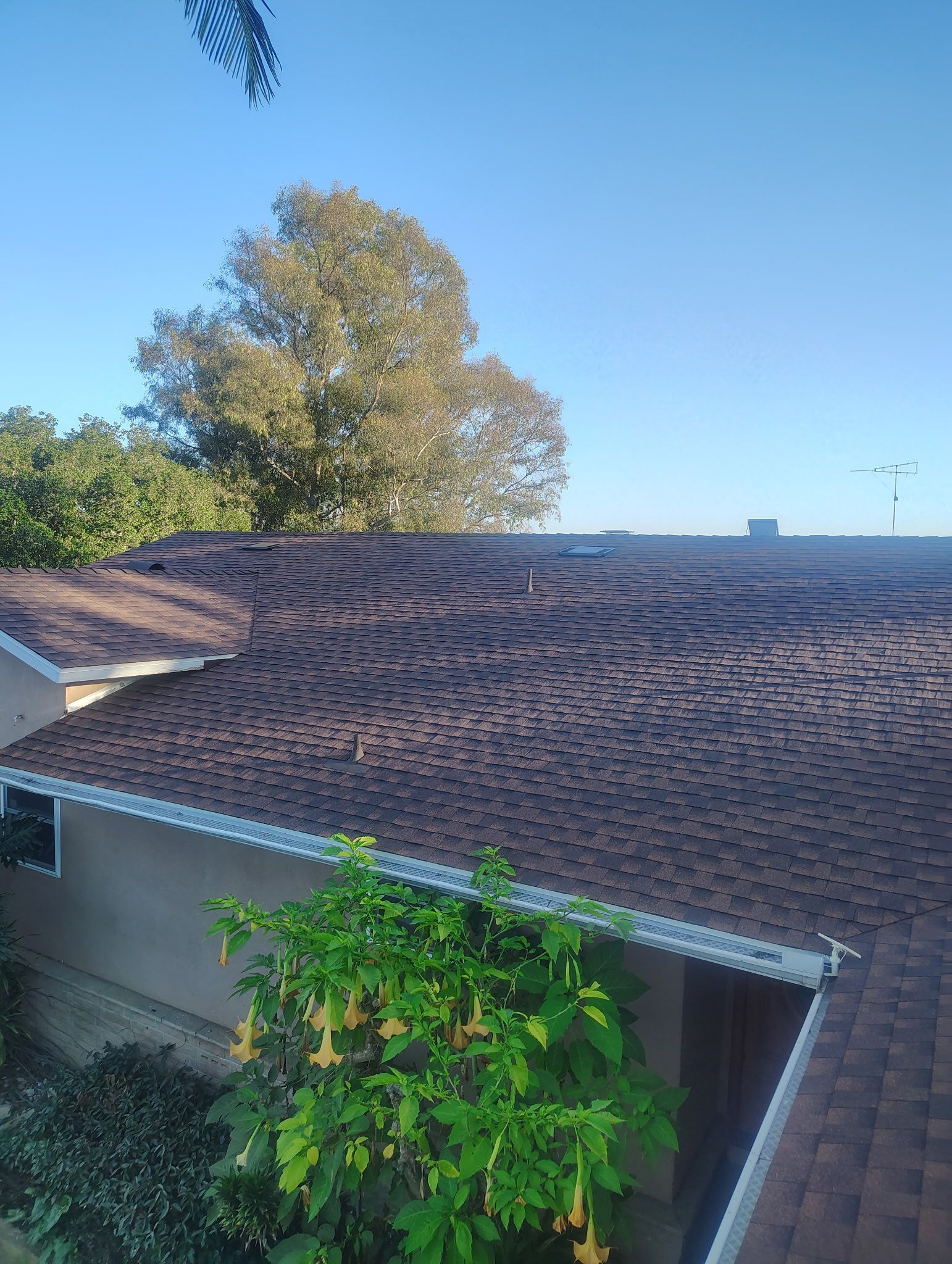 Brown shingled roof with wavy lines, green trees, and blue sky.