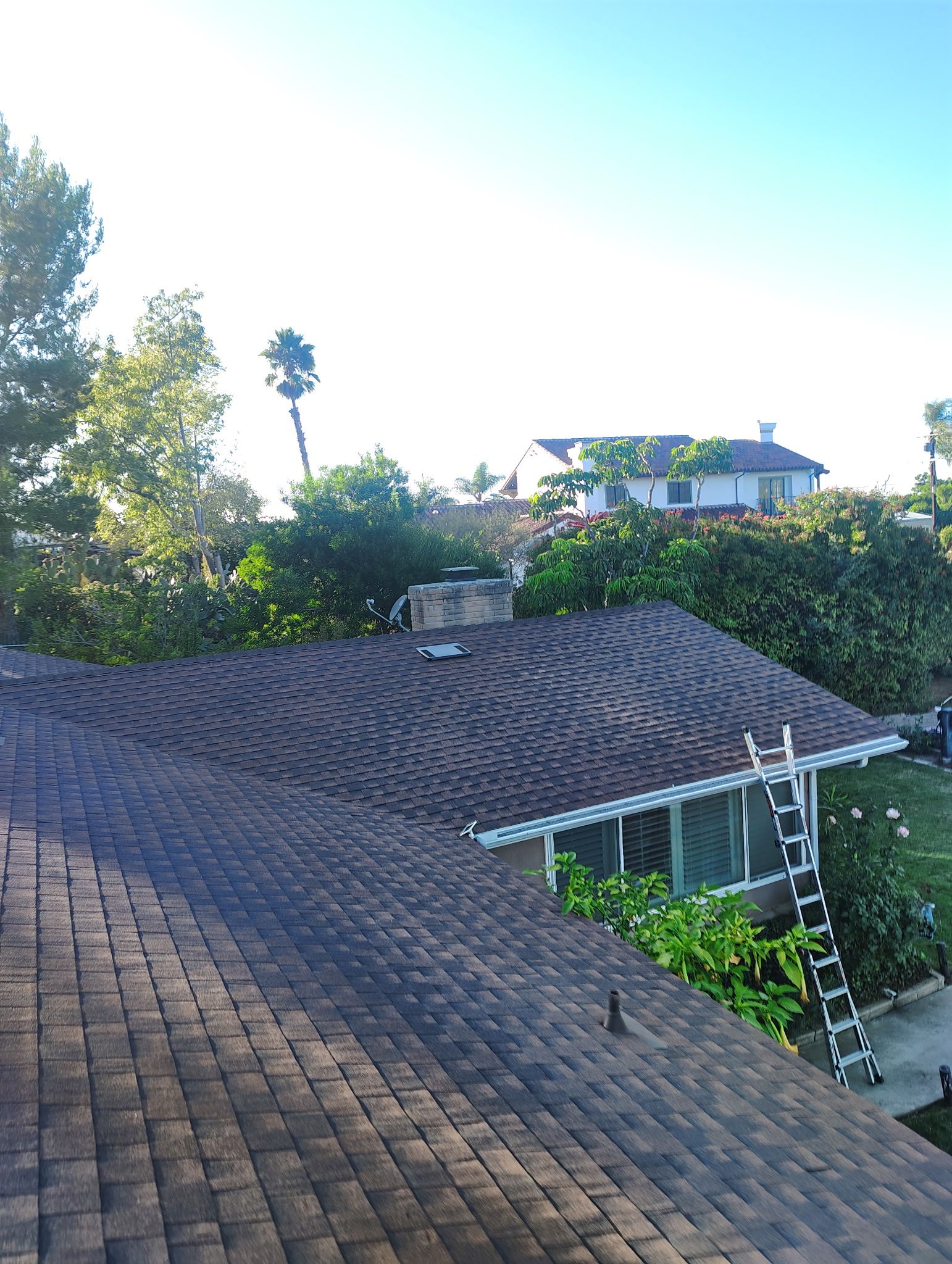 View from rooftop, brown shingled roof, trees and houses in the distance, sunny sky.