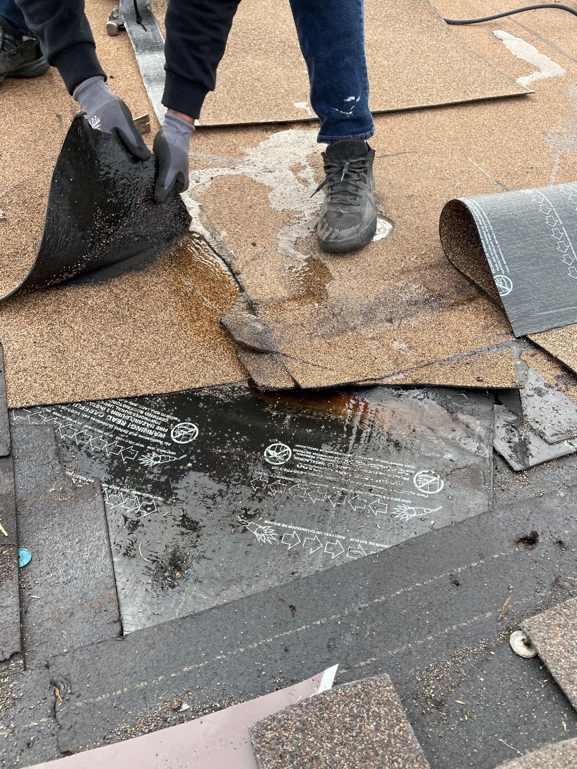 Person removing roofing shingles, revealing damaged underlayment.