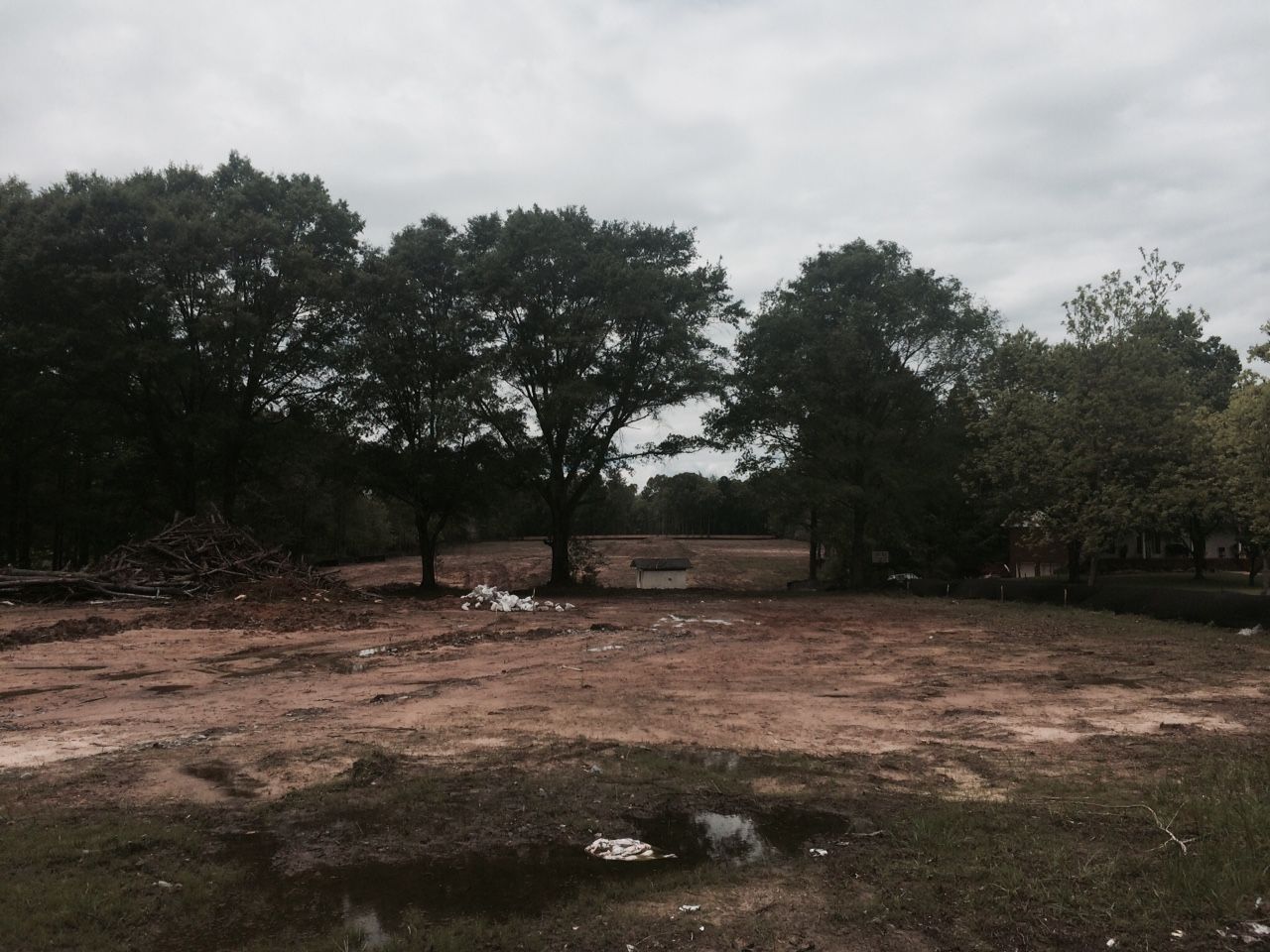 Dirt field with trees under an overcast sky; litter scattered across the ground.