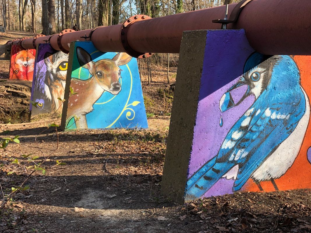 Colorful bird murals painted on panels along a large rusted pipe in a wooded outdoor setting