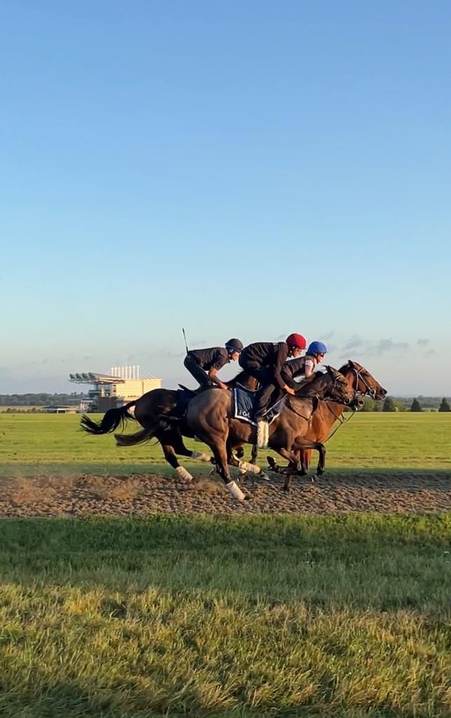 three horses galloping in front of grand stands
