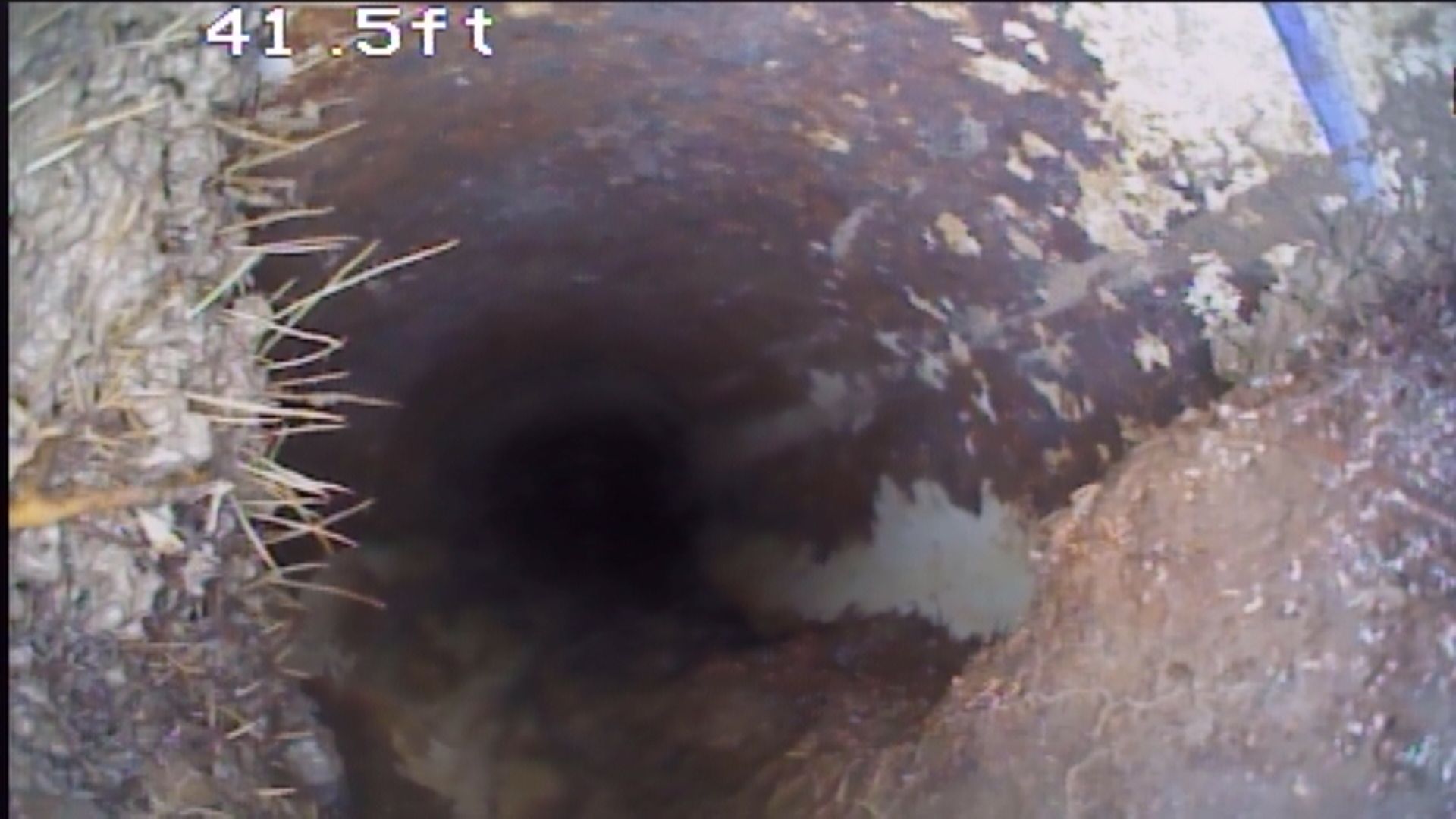 Sewer Line Inspection Grand Junction, CO