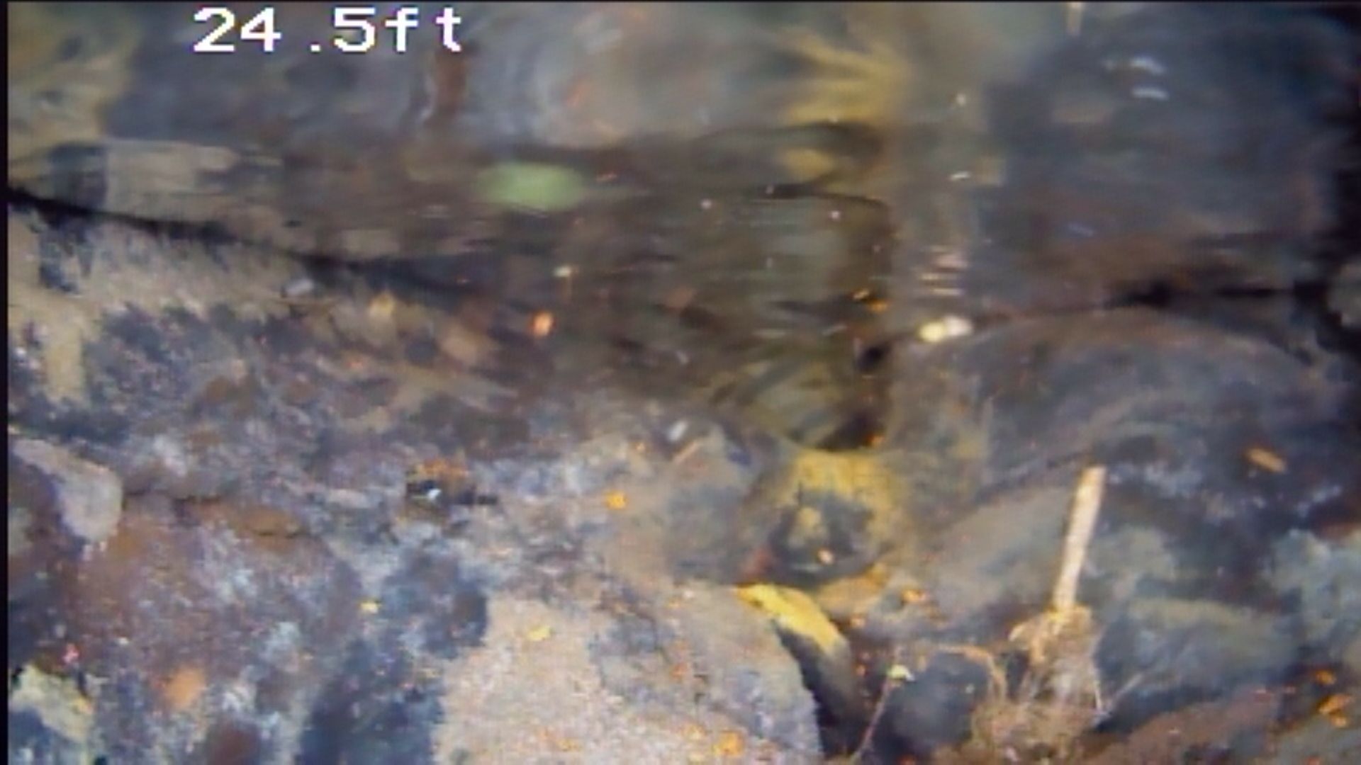 Sewer Line Inspection Grand Junction, CO