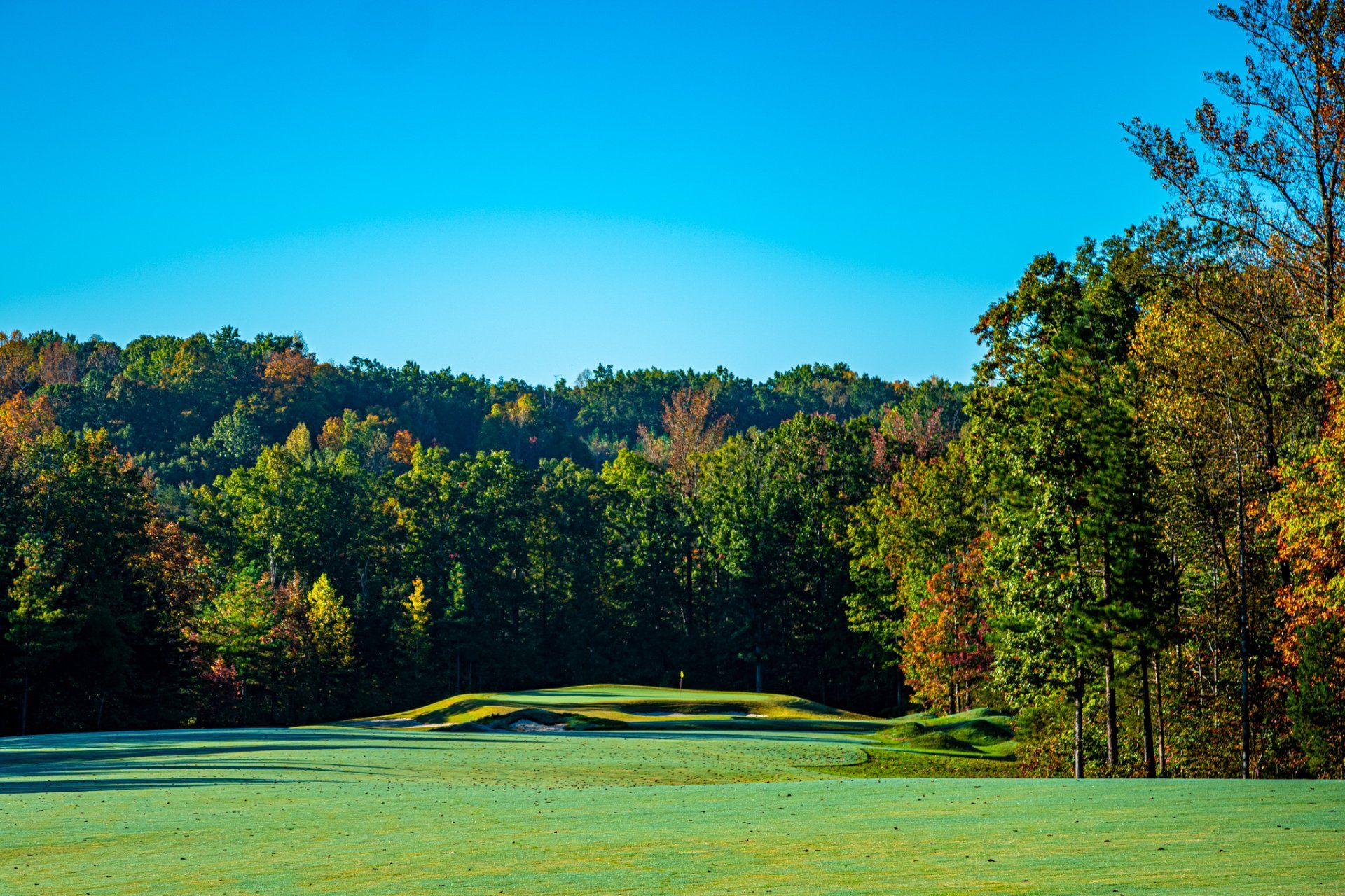 Cutalong at Lake Anna | Gallery of images