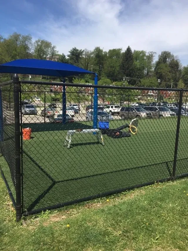 Black Vinyl Chain Link Fence — Pittsburgh, PA — Affordable Fence & Railing, LLC