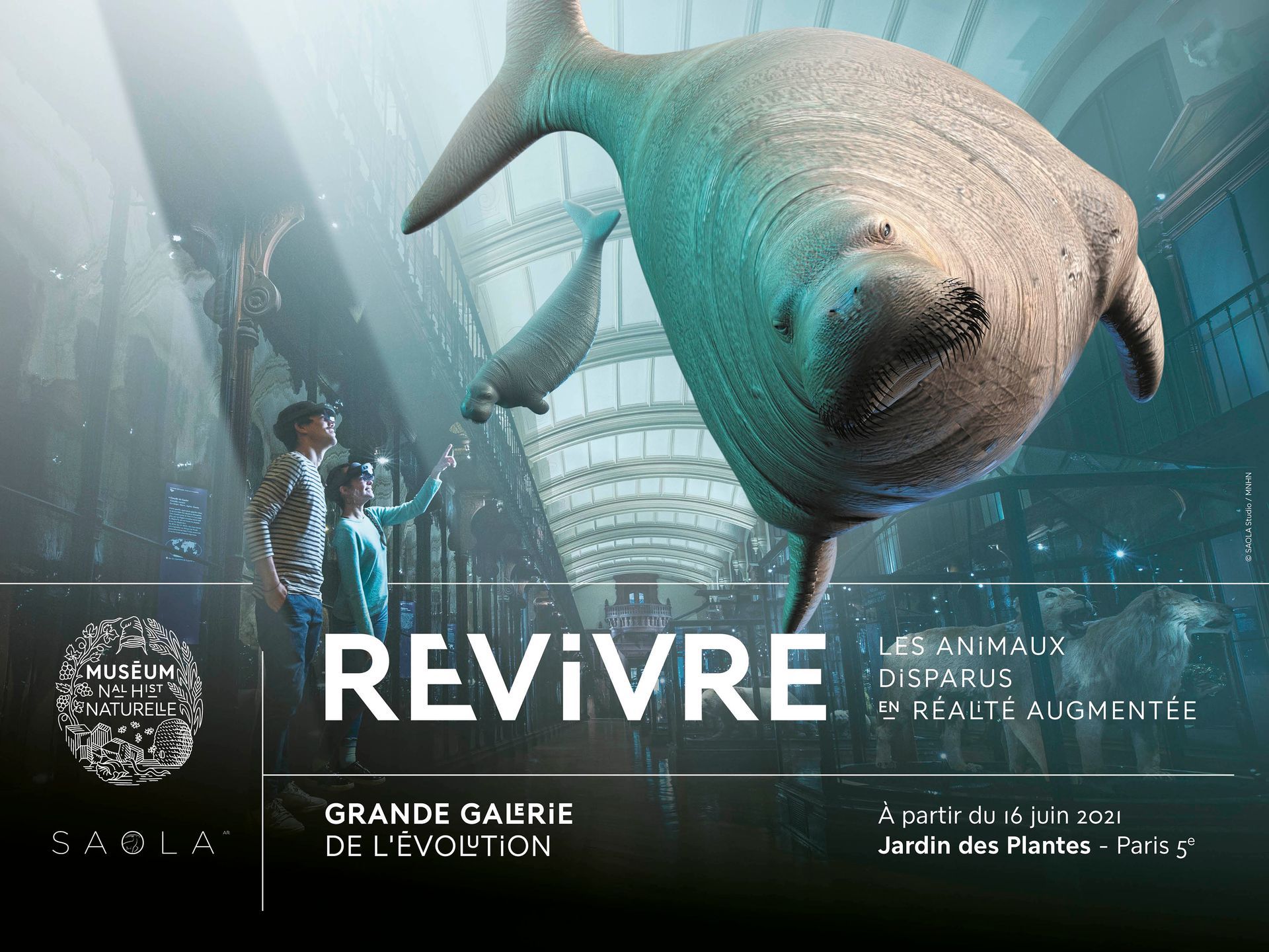 Affiche Revivre