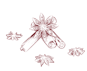 Un disegno di bastoncini di cannella e anice stellato su uno sfondo bianco.