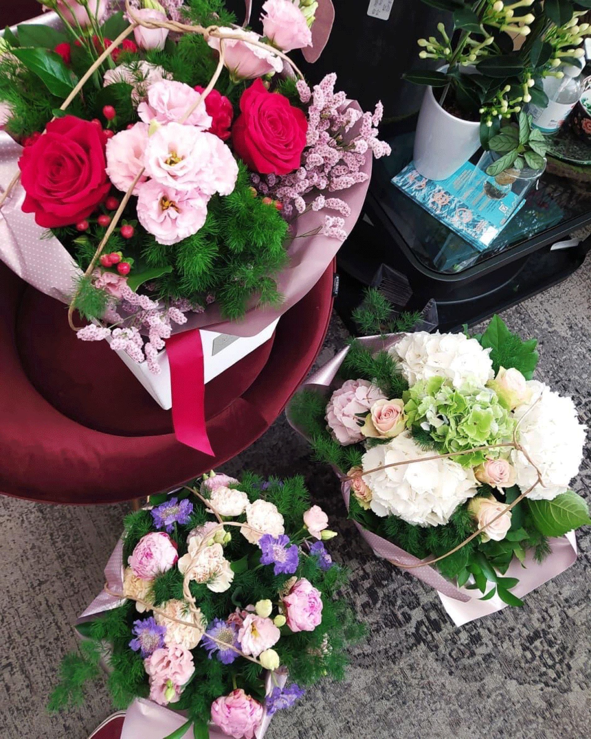 fiori e piante Rischi La Spezia