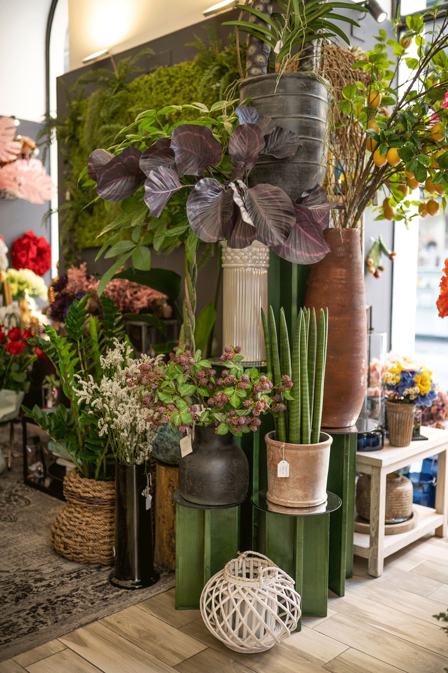 fiori da interno Rischi La Spezia