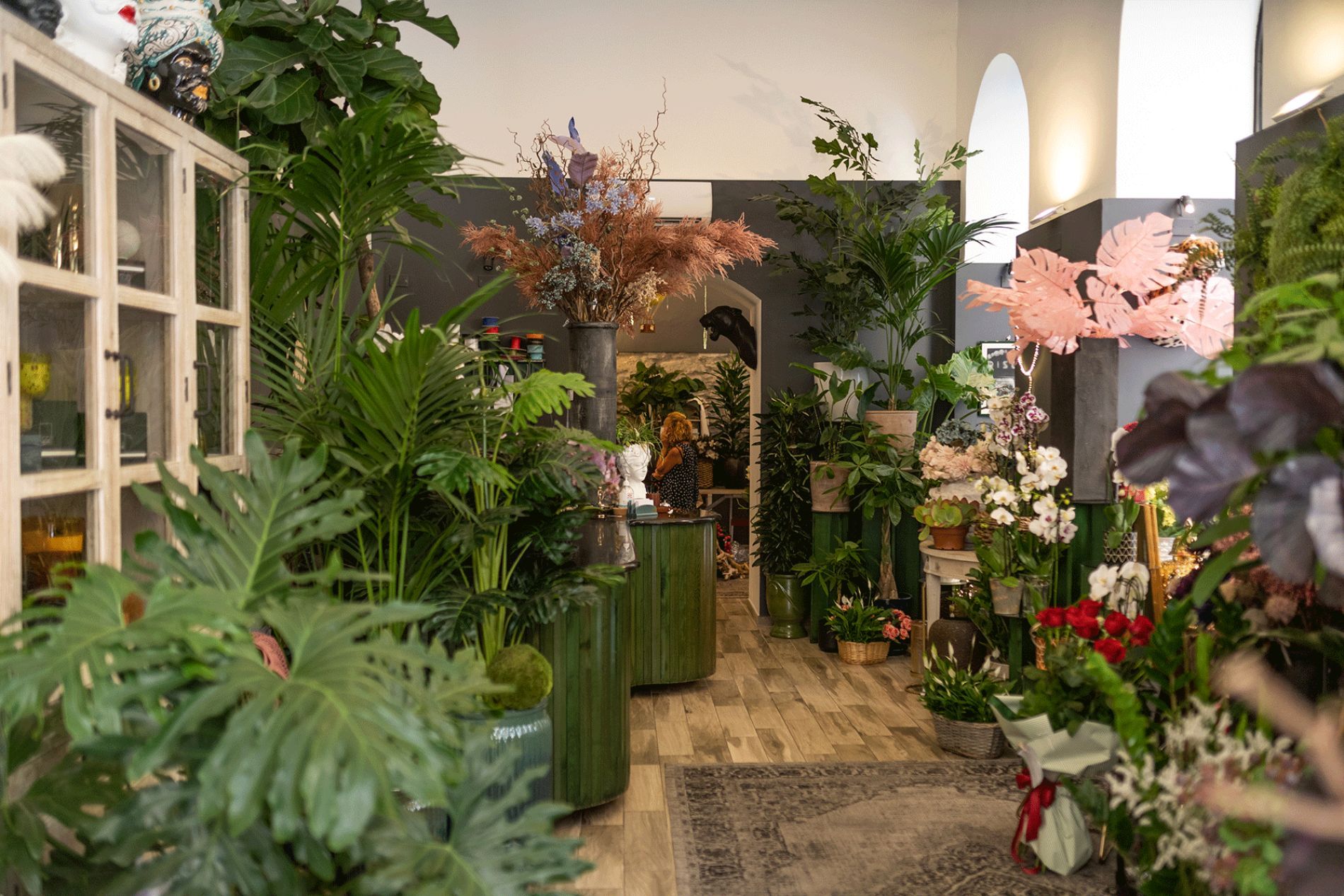 piante negozio  Rischi La Spezia