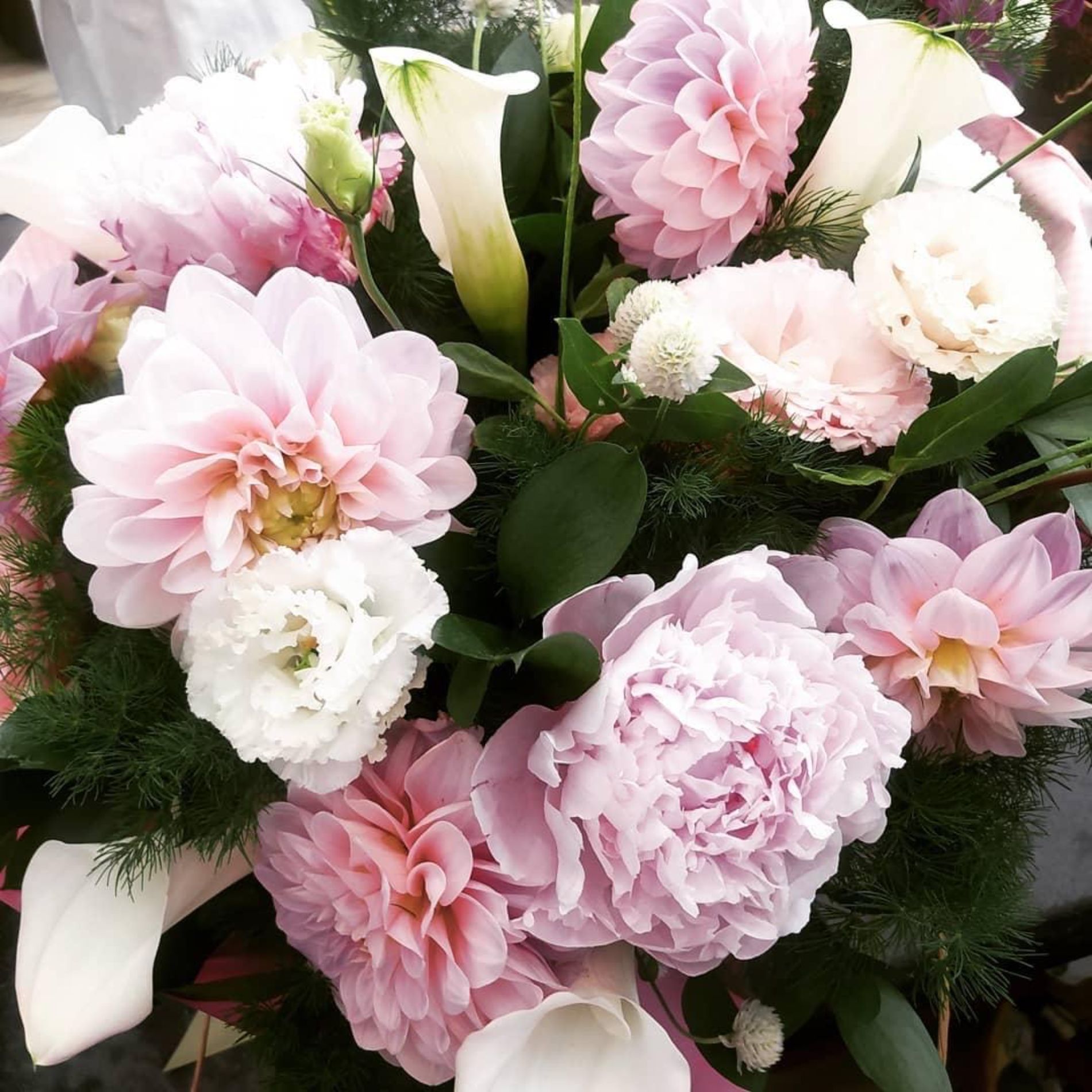 fiori rosa e gialli  Fiorista Rischi La Spezia