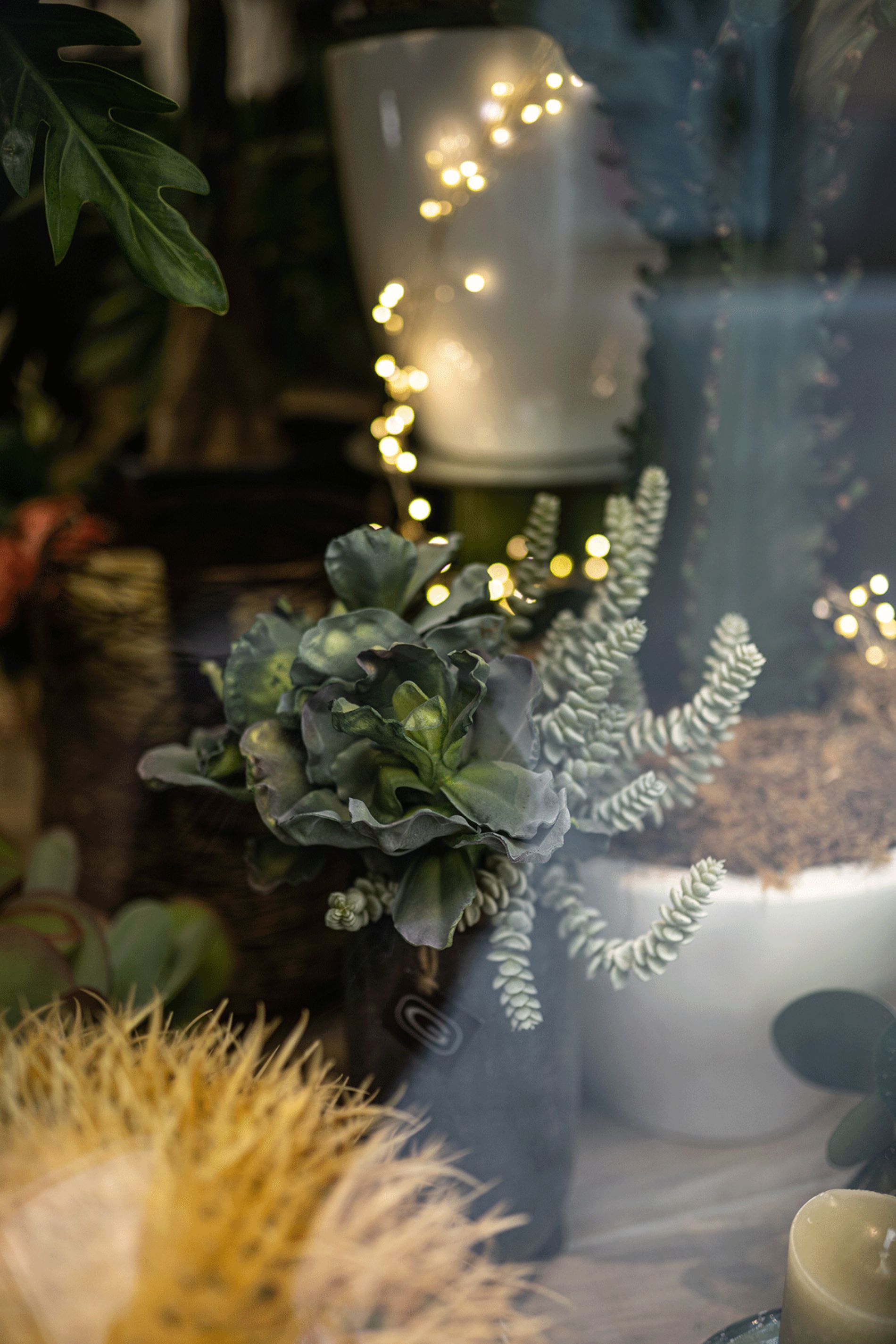 piante e fiori dentro il negozio