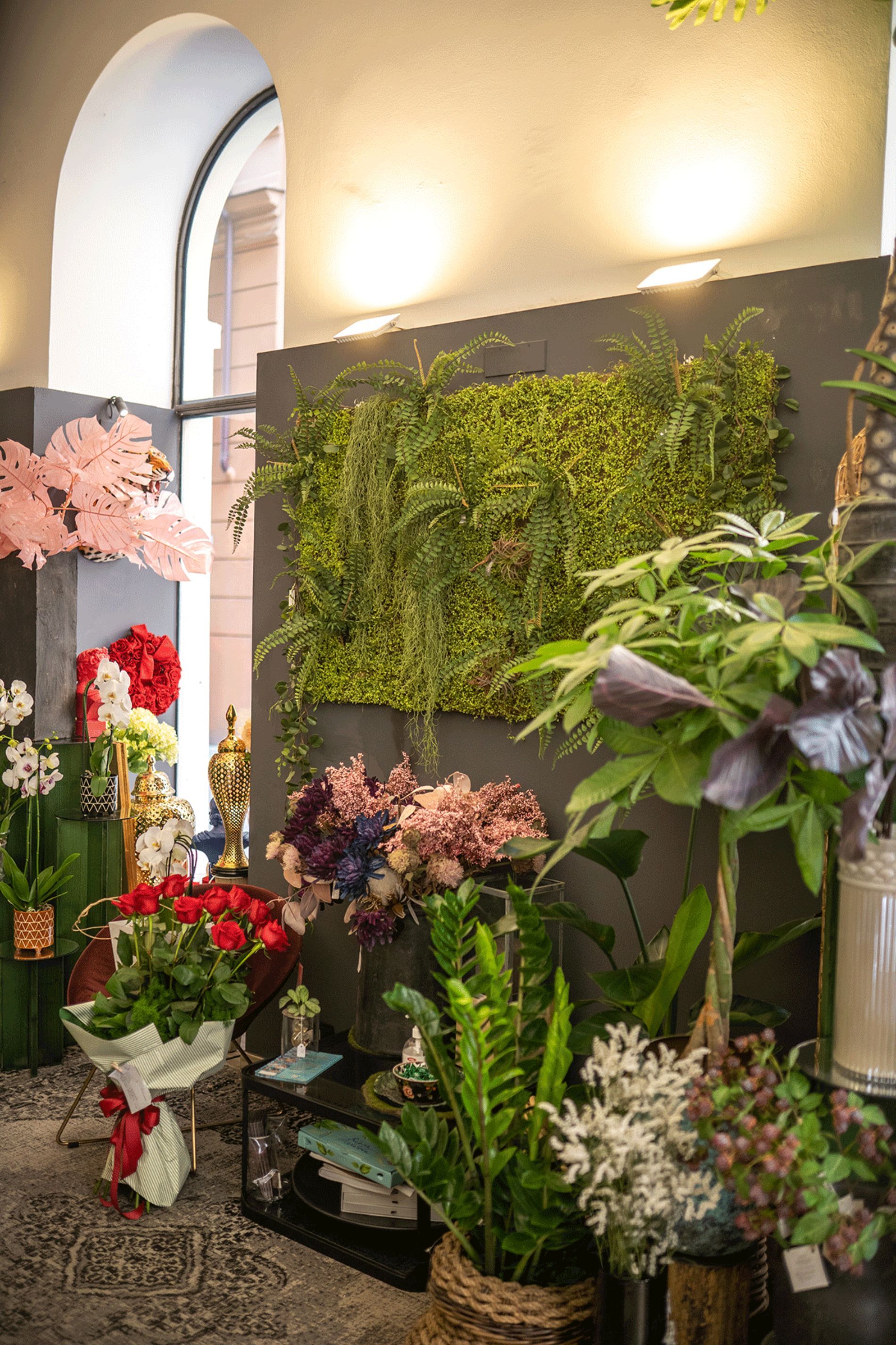 piante ornamentali in vendita