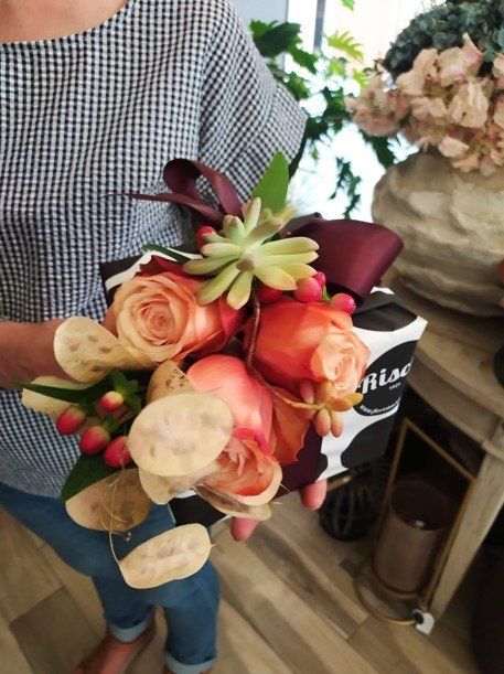 piante domicilio Rischi La Spezia