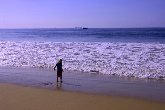 a person is standing on a beach looking at the ocean .