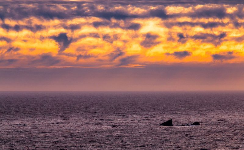 a shark is swimming in the ocean at sunset .