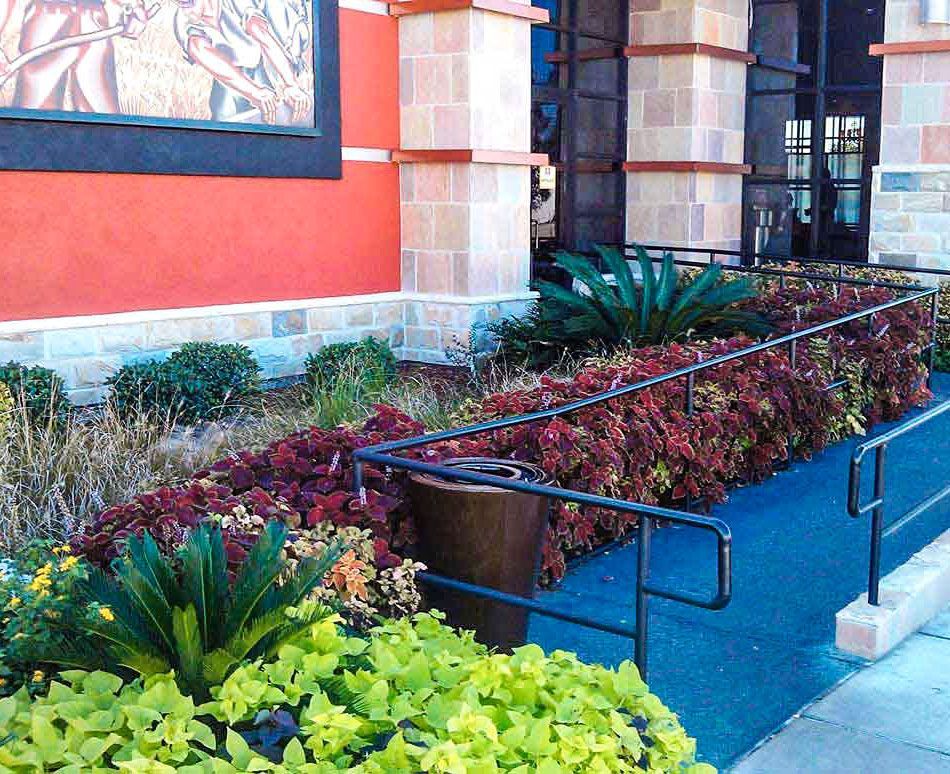 Commercial landscaping for storefront