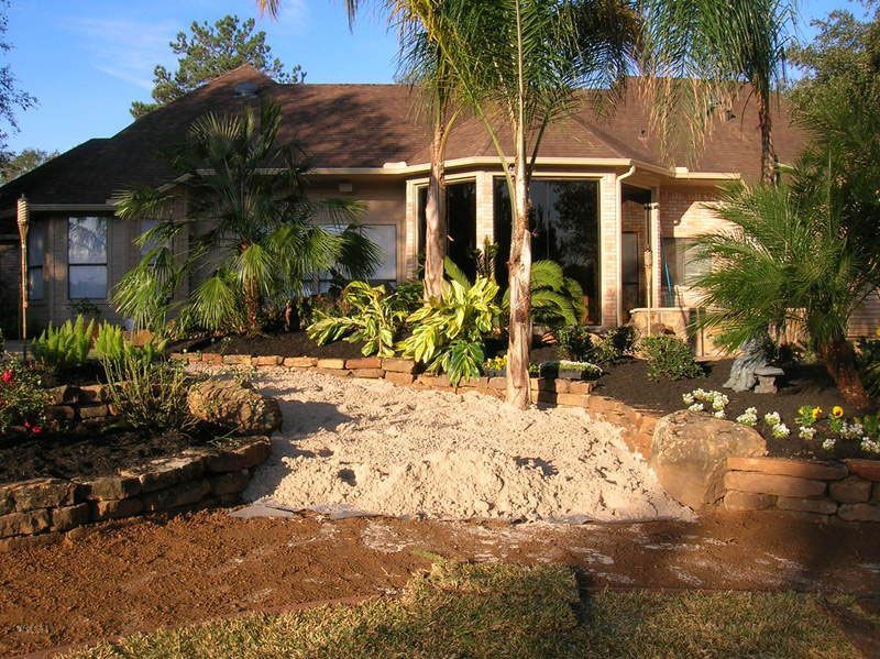 White sand and soil landscaping with palms and trees