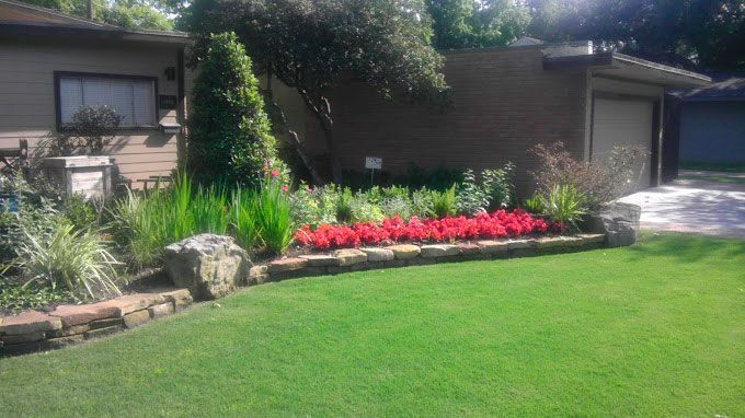 Grass yard with landscaping with red flowers and shrubs