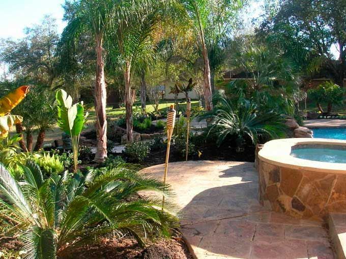 Outdoor space with paver and landscaping with plant and palm trees