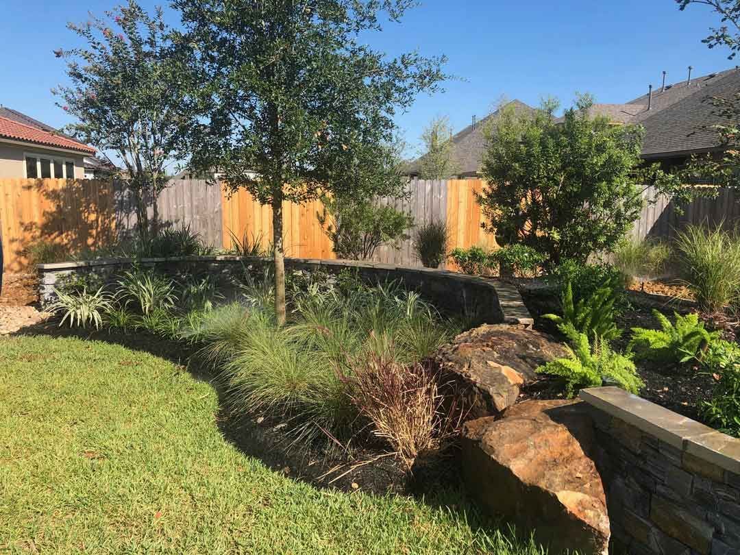 Outdoor landscaping with Lindheimer's Muhly plants and trees