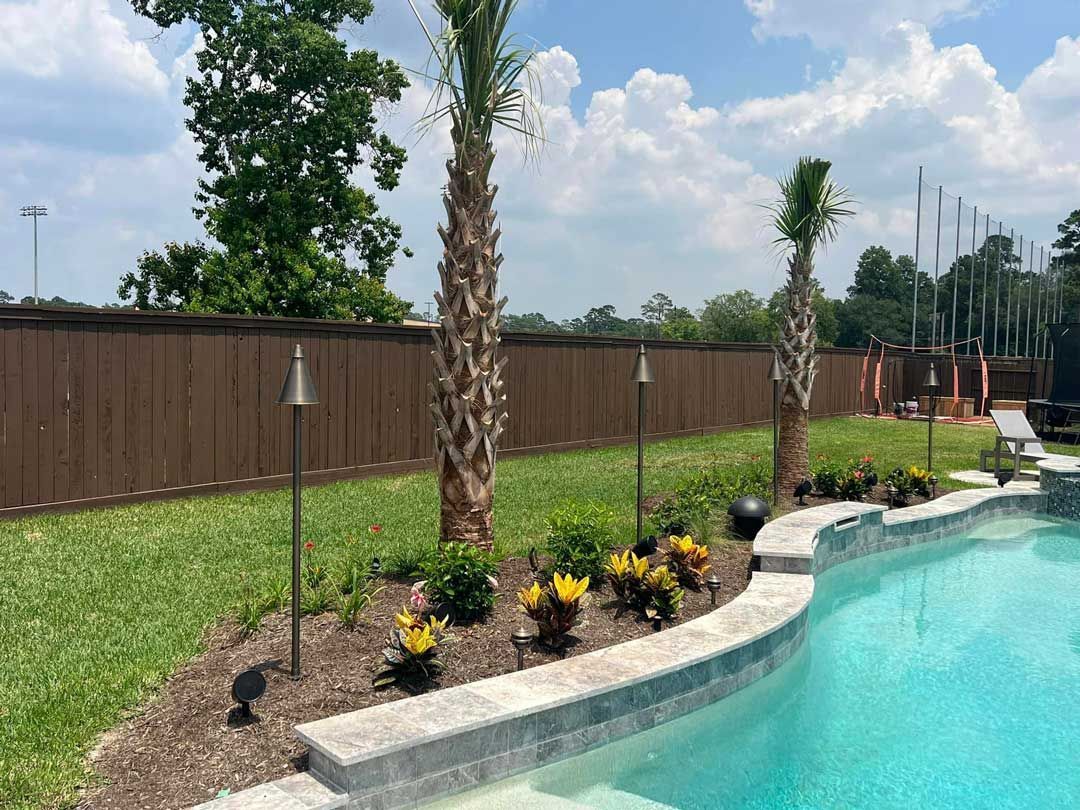 Landscaping bed with plants and palm trees at the pool's edge