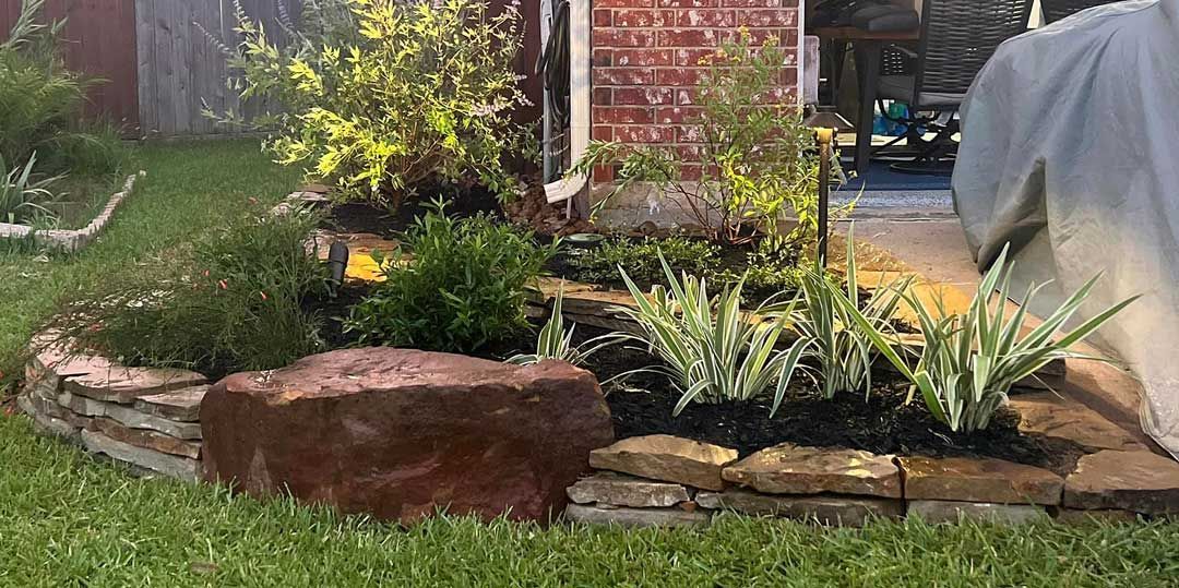 Landscaping with cast iron plants