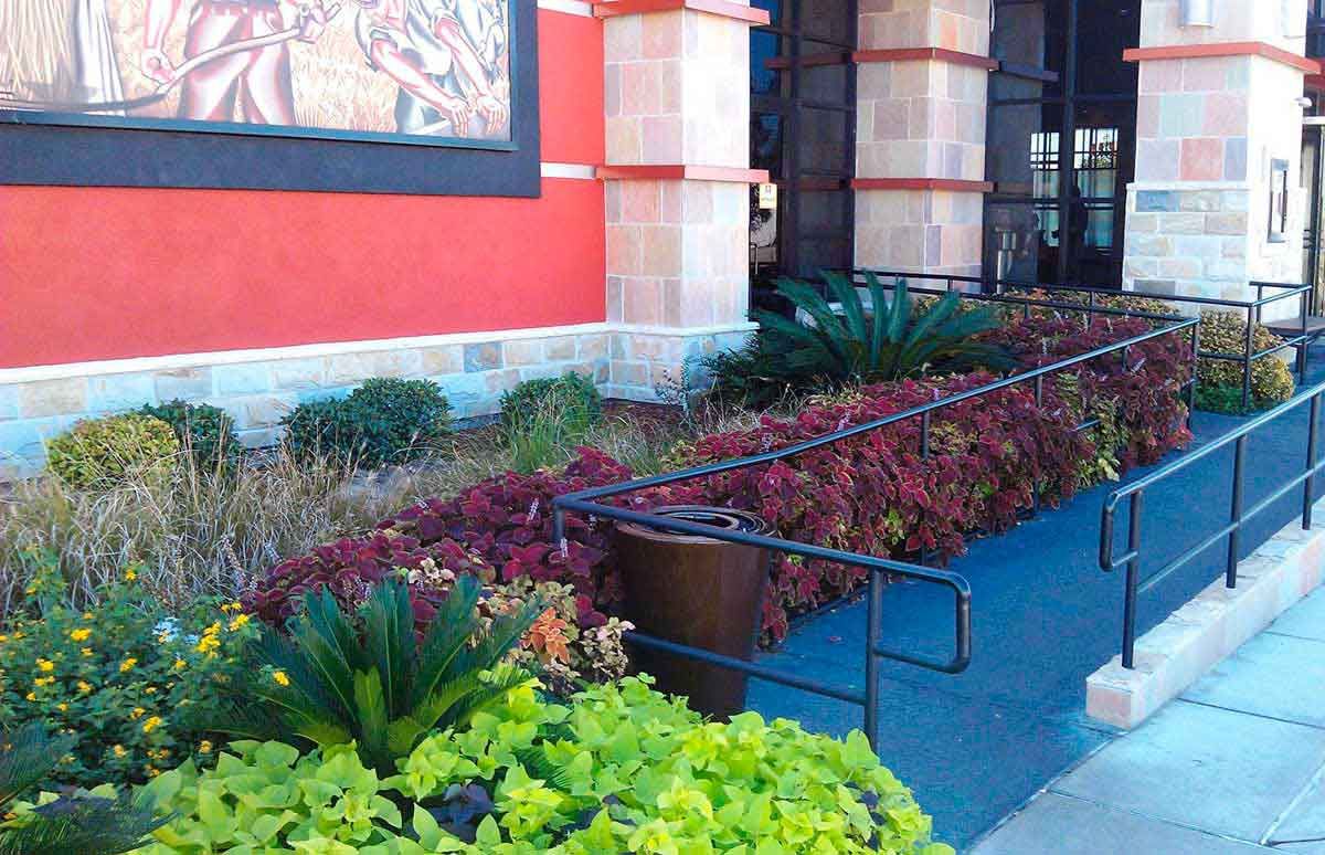 A native Texas plants Landscaping for a marketplace