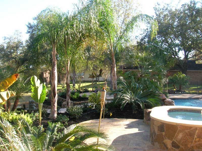 Pond and patio made in limestone with the landscaping of small palm trees