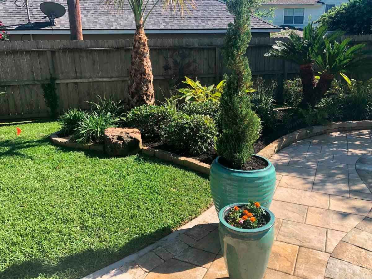 Landscaping for backyard with plants, palm trees and decorative vases