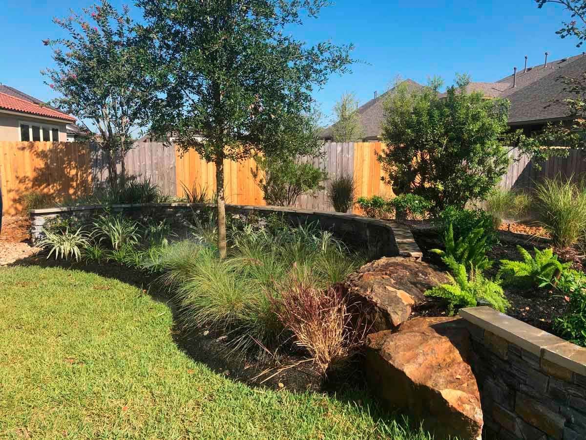 Outdoor landscaping with Lindheimer's Muhly plants and trees