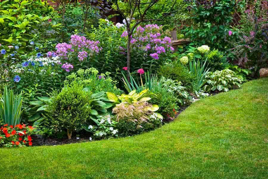 Beautiful and lush landscaping of plants and flowers