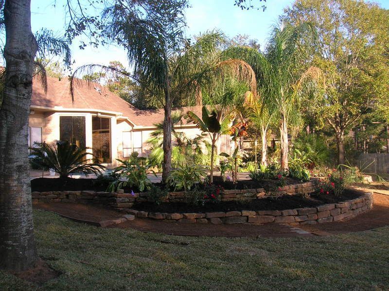Beautiful outdoor stone landscaping with palm trees and plants