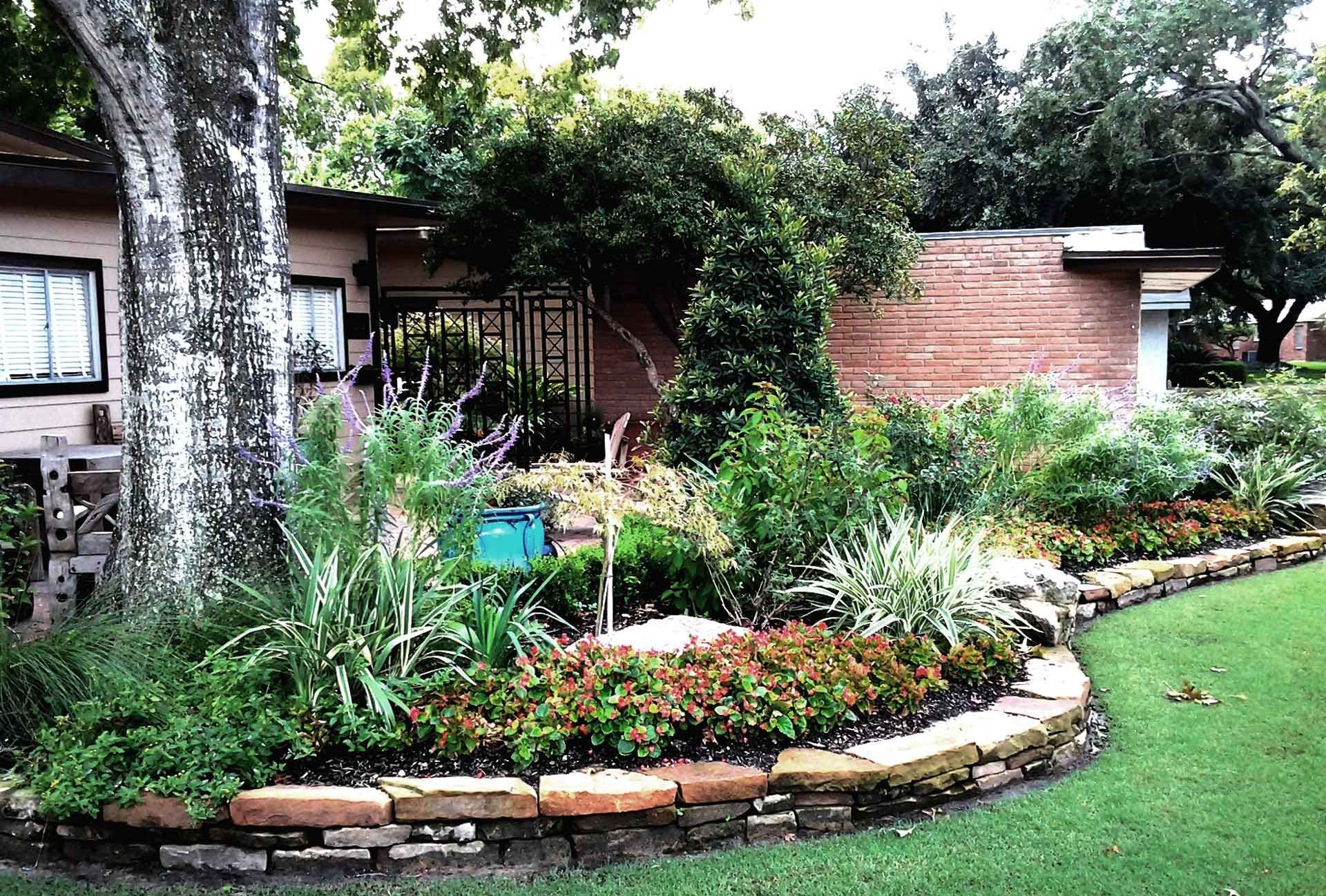 Lush landscaping bed with typical Texas plants